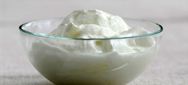 yogurt2009